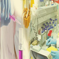 $imagenins.getAttribute(